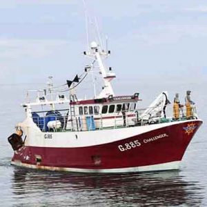 Urban Monger Family Fish Box