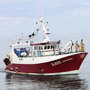 Urban Monger Family Fish Box