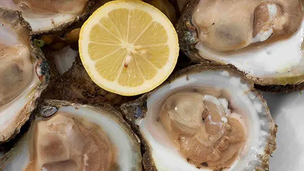 Kelly's Native Oysters (Ostrea Edulis) 1 dozen