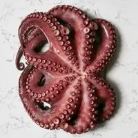 Kaviari Octopus Carpaccio (Octopoda) 70g pack - Image 3
