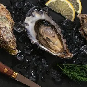 Kelly Gigas Oysters (Crassostrea Gigas)