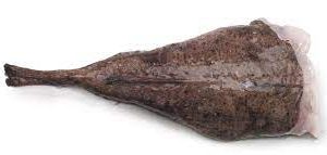 Monkfish (Lophius Piscatorius)