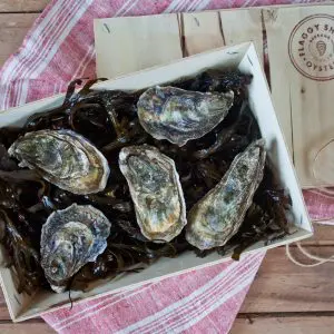 Flaggy Shore Oysters