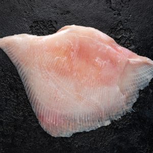Ray Wing