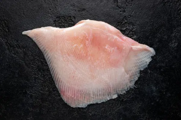 Ray Wing