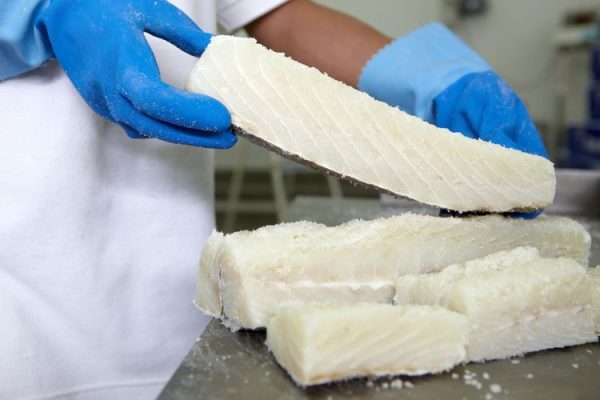 Salted Cod loins(Gadus Morhua)